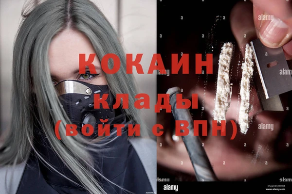 apvp Алзамай